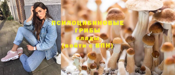 кокаин Алексеевка
