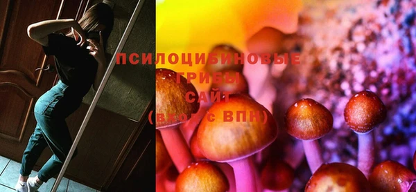дурь Алексин